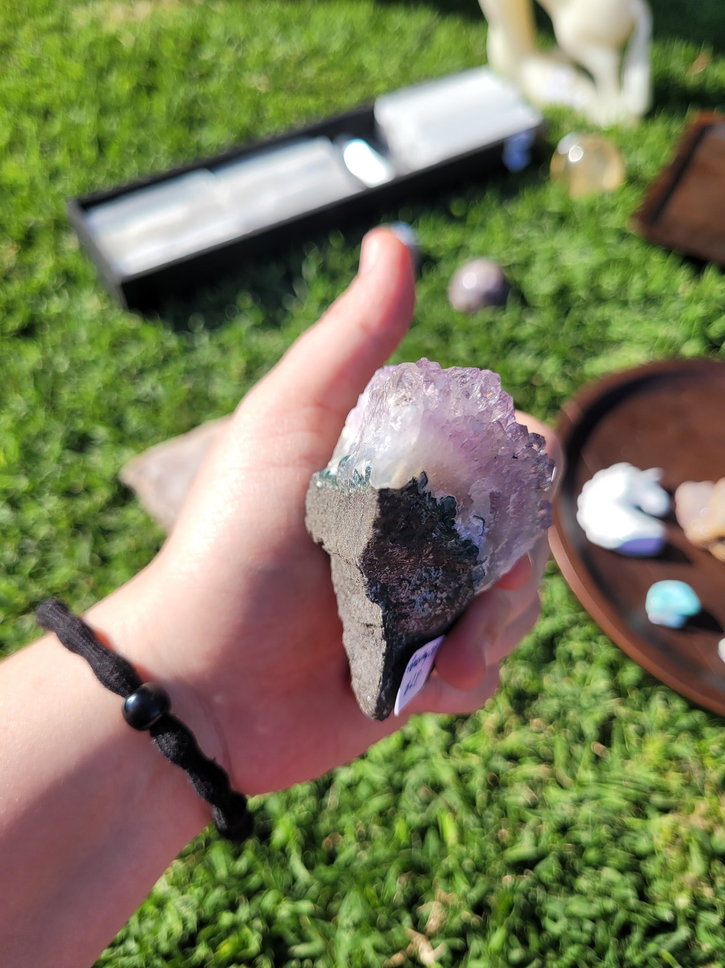 Raw Amethyst Point Cluster - "Tooth" - Specimen