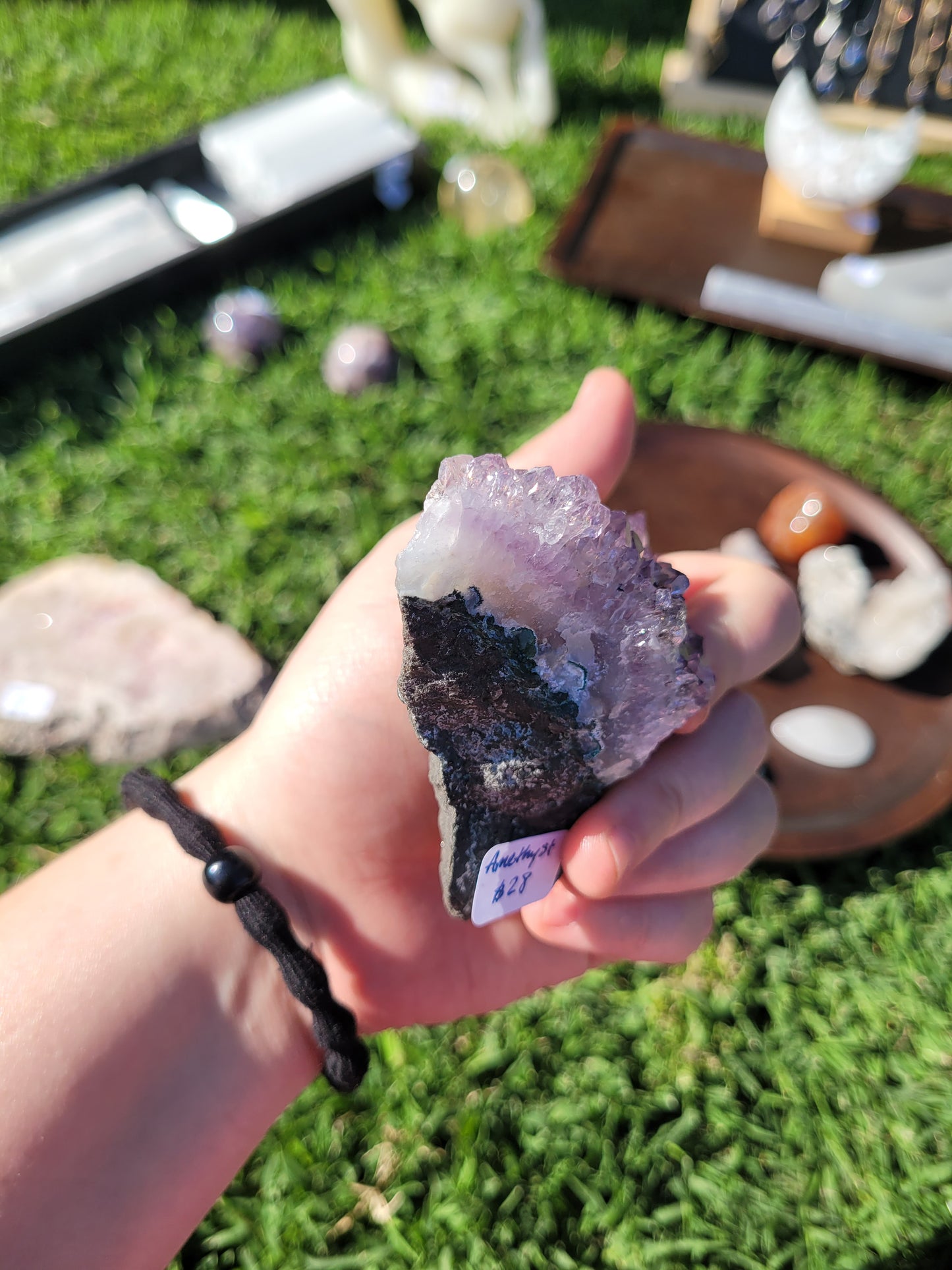 Raw Amethyst Point Cluster - "Tooth" - Specimen