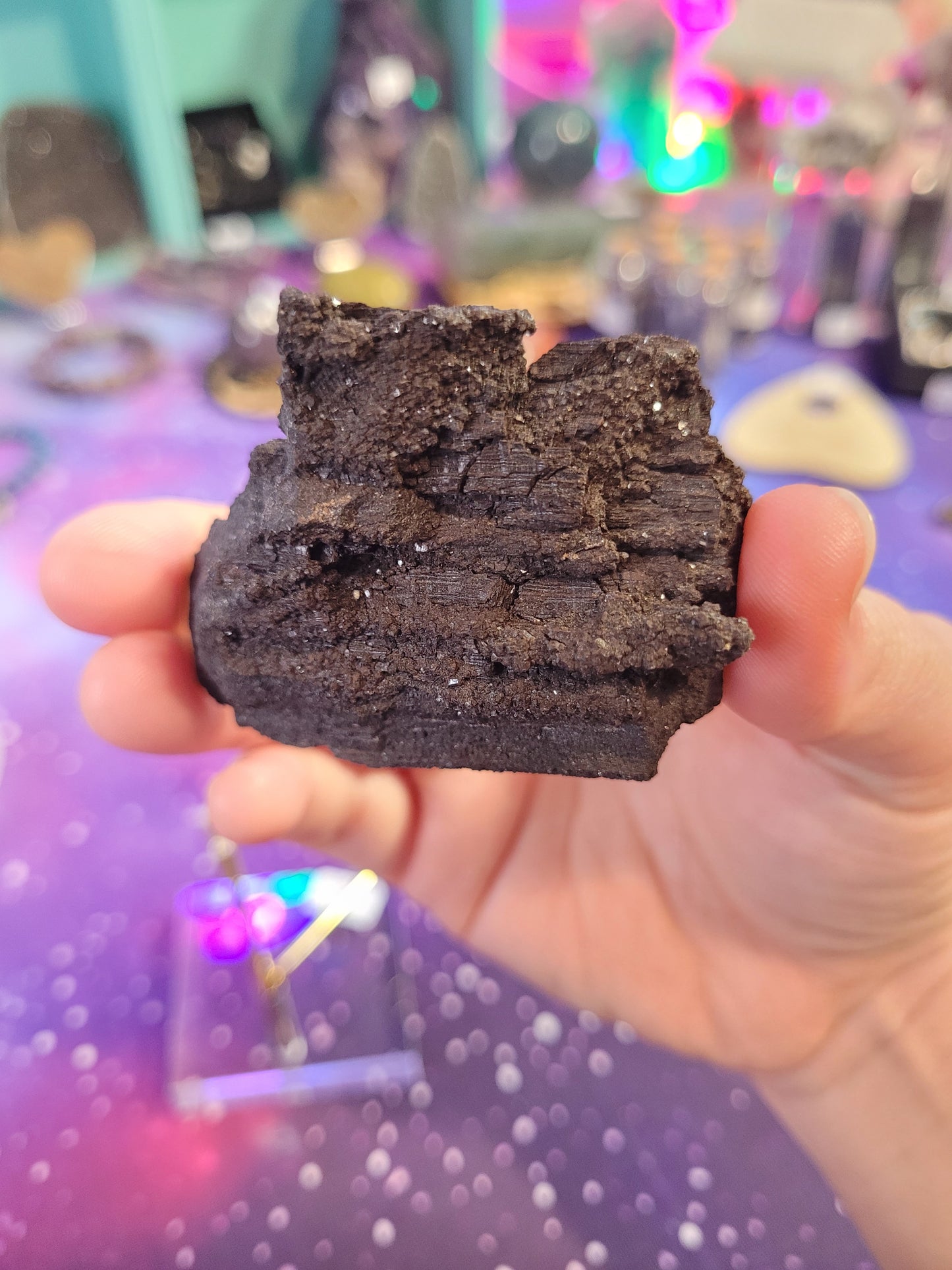 Permineralized Wood Specimen - Black & Brown - Galaxy Wood - Fossil