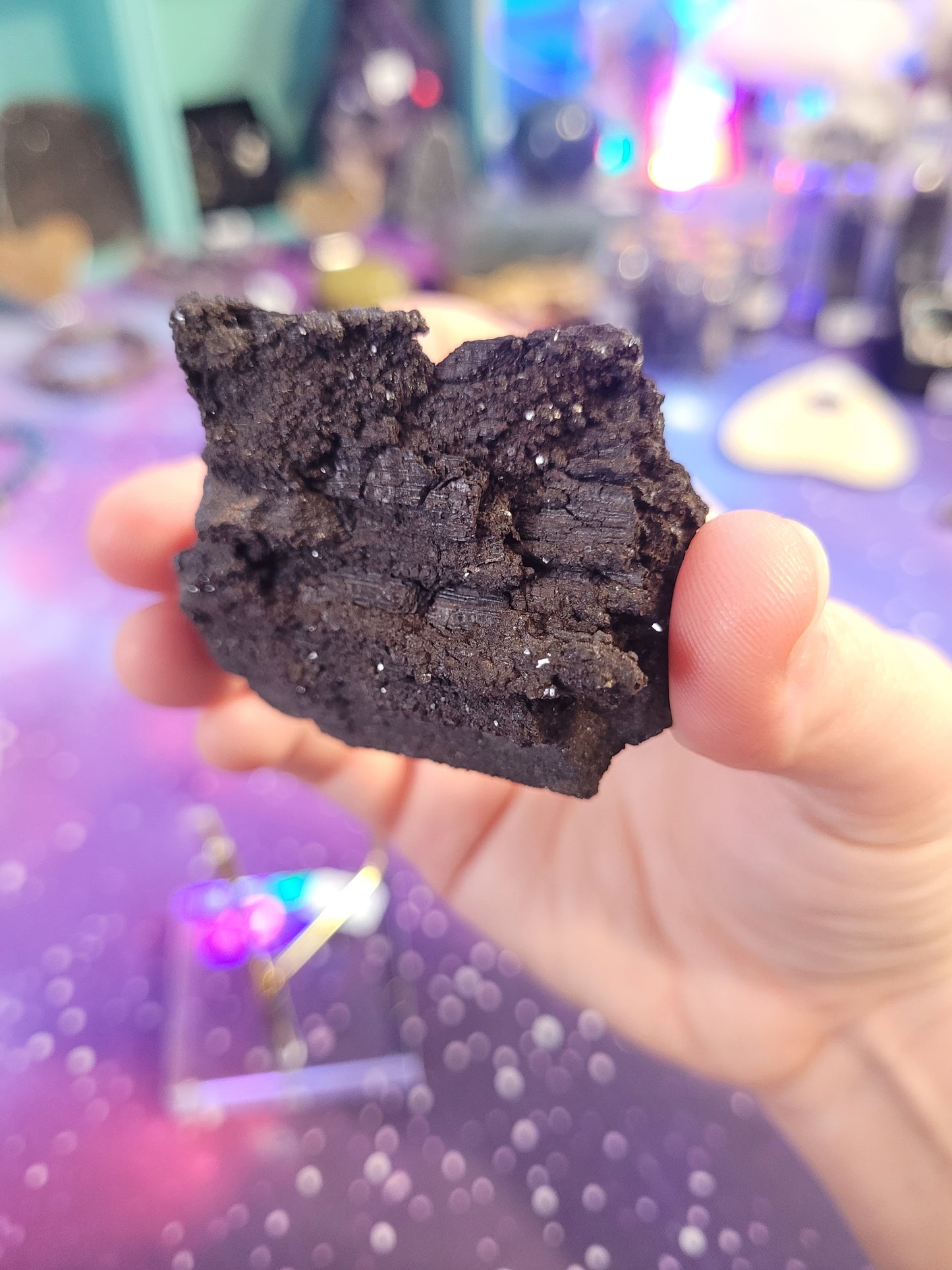 Permineralized Wood Specimen - Black & Brown - Galaxy Wood - Fossil