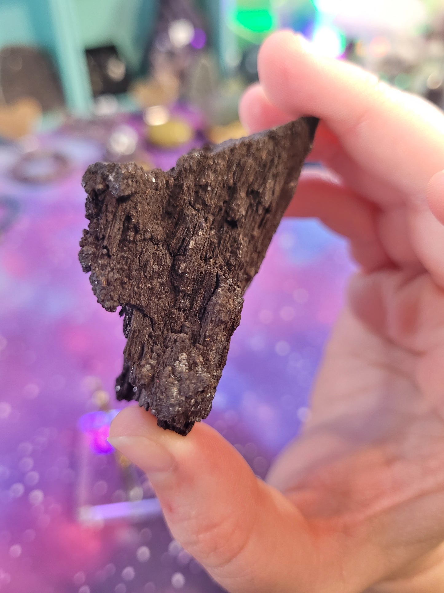 Permineralized Wood Specimen - Black & Brown - Galaxy Wood - Fossil