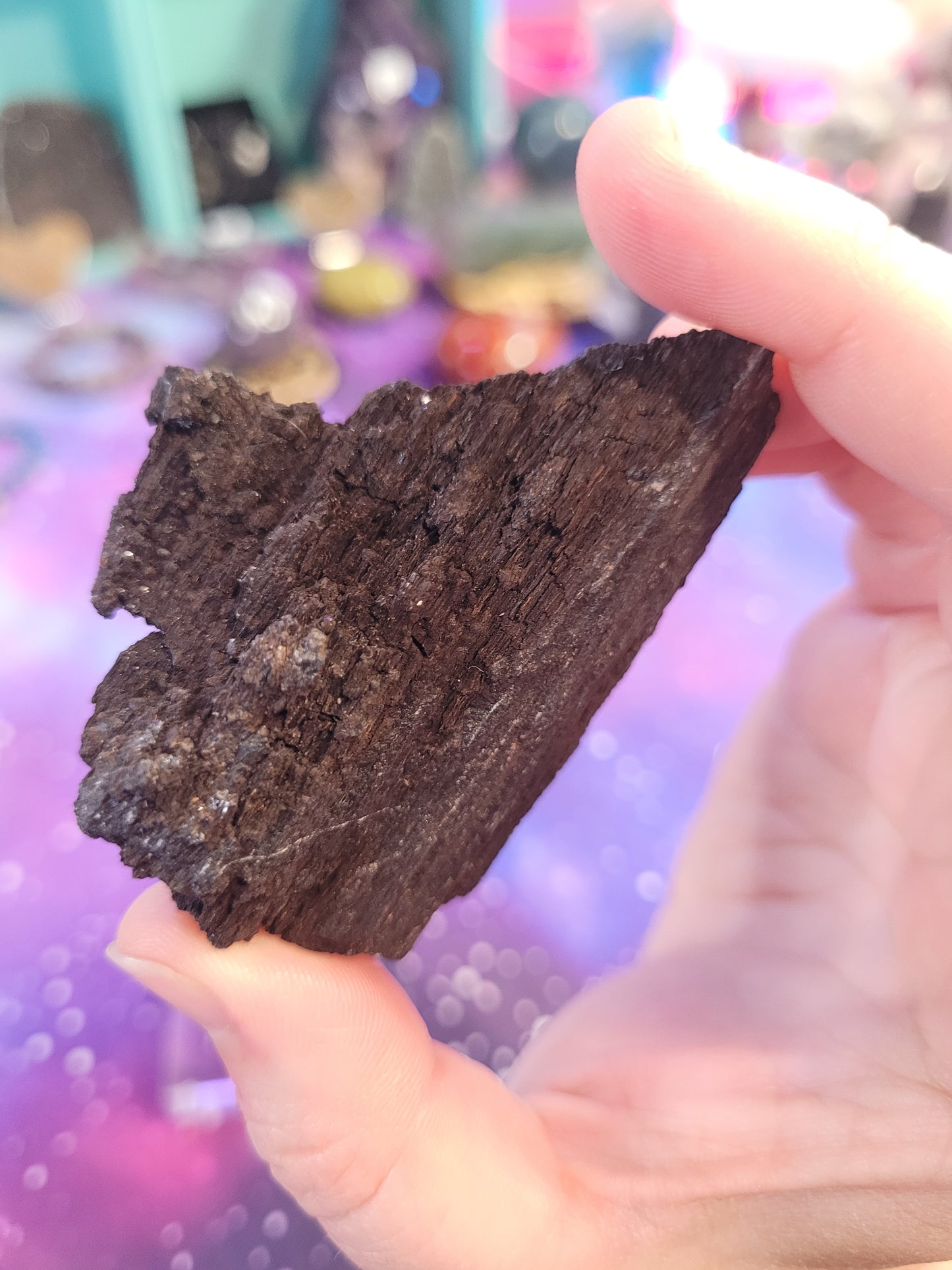 Permineralized Wood Specimen - Black & Brown - Galaxy Wood - Fossil
