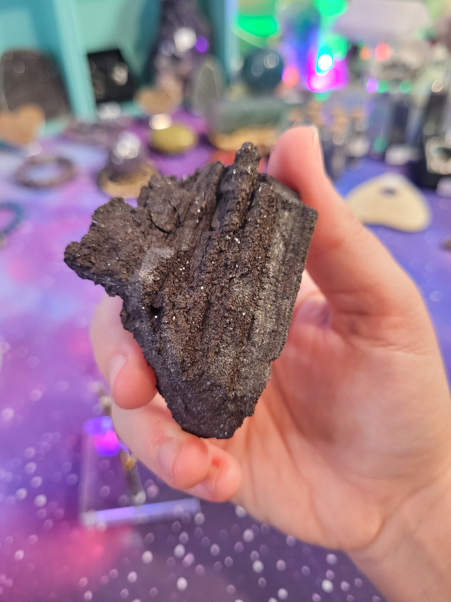 Permineralized Wood Specimen - Black & Brown - Galaxy Wood - Fossil